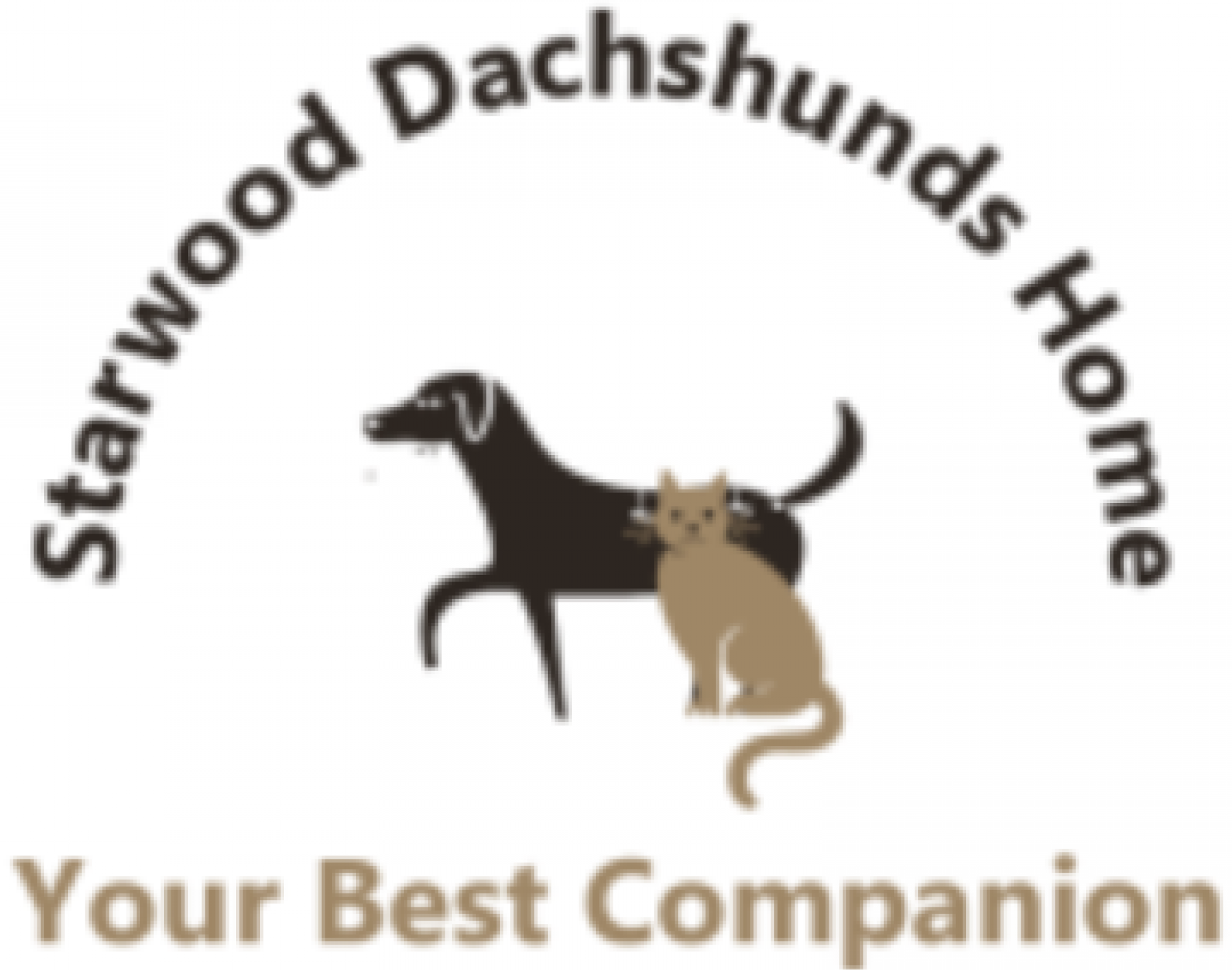 Starwood Dachshunds Home